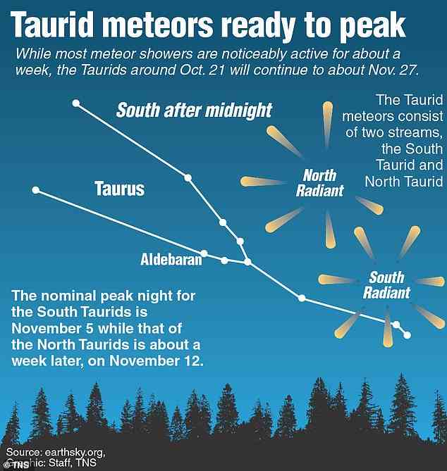 Der Tauridenschauer besteht aus zwei Strömen: den südlichen Tauriden, die vom 4. bis 5. November ihren Höhepunkt erreichen;  und die Nördlichen Tauriden, die zwischen dem 12. November und dem 13. November ihren Höhepunkt erreichen.
