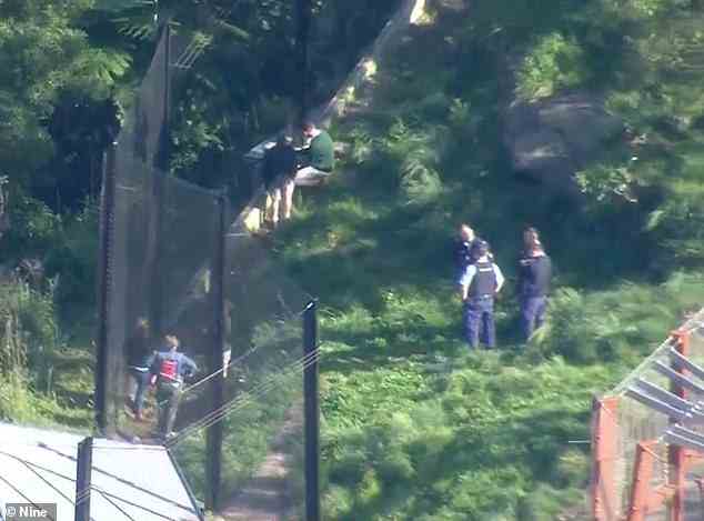 Polizei- und Zoomitarbeiter wurden gesehen, wie sie die Umzäunung des Löwengeheges Savannah überprüften (oben).