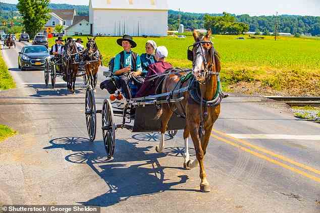 Lancaster County ist die Heimat von Amerikas ältester Amish-Gemeinde.  Im Bild: Eine Gruppe von Amish-Bewohnern, die einen von Pferden gezogenen Buggy benutzen, um sich auf den Landstraßen fortzubewegen