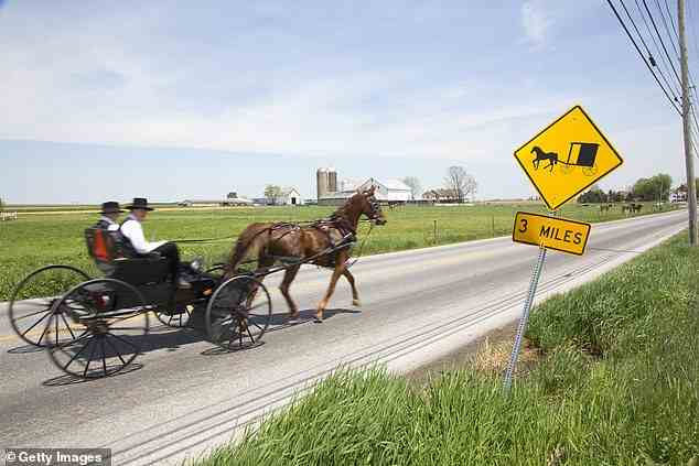Der Besuch des Farmlandes der Amish gehört zu den Top-Freizeitaktivitäten in Lancaster