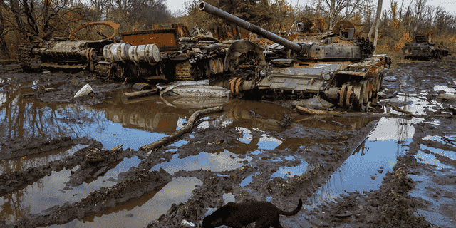 Russische Panzer, die bei den jüngsten Kämpfen beschädigt wurden, sind am Sonntag, 30. Oktober 2022, in der Nähe des kürzlich zurückeroberten Dorfes Kamjanka, Region Charkiw, Ukraine, zu sehen.