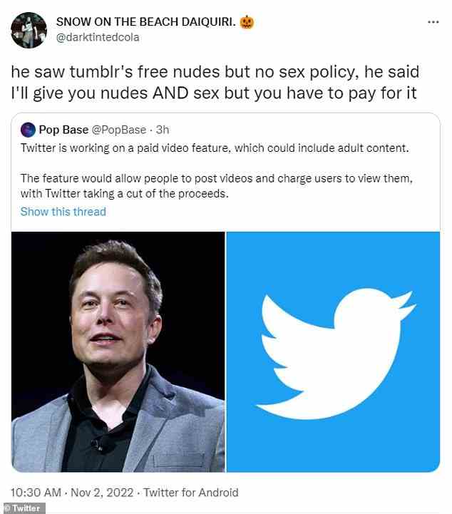 Benutzer strömten zu Twitter, um ihre Meinung zu Tumblrs Umzug zu teilen, der nur wenige Stunden bevor Elon Musk angeblich ein kostenpflichtiges Video-Feature plant, das Inhalte für Erwachsene enthalten könnte