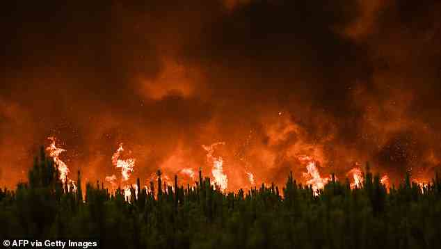 Annual burned areas due to wildfires were about three times or more the 2006 to 2020 average in Cyprus, France, Greece, Israel, Italy, Lebanon, Montenegro and Turkey. Pictured: A forest fire in Gironde, France in August 2022 during the record-breaking summer of heatwaves and drought