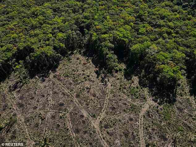Landnutzungsänderungen wie Entwaldung werden in diesem Jahr voraussichtlich für 3,9 Milliarden Tonnen Kohlendioxid verantwortlich sein.  Im Bild: Abgeholztes Grundstück des Amazonas-Regenwaldes