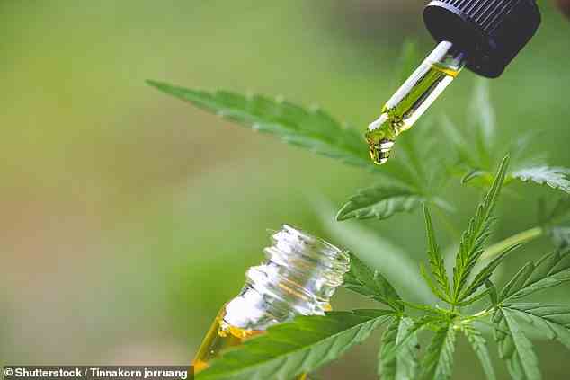 Die Cannabispflanze produziert eine Reihe von Chemikalien, darunter einige, die nachweislich Schmerzsignale blockieren