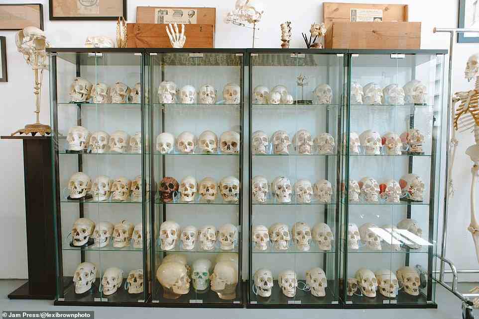 Ferry hat mehr als 90 Schädel, die in einer großen Vitrine ausgestellt sind, die er verwendet, um Menschen über die Geschichte der menschlichen Überreste aufzuklären, die auf dem Markt verkauft werden