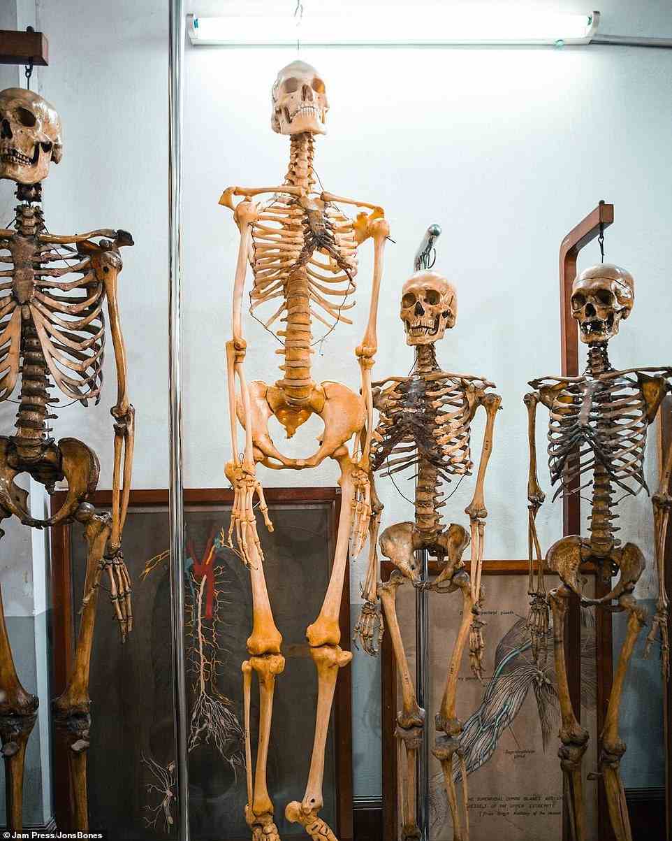 Viele der Skelette im Museum lagen auf den Dachböden der Menschen, weil sie von einem Familienmitglied weitergegeben wurden und die neuen Besitzer nicht wussten, was sie damit anfangen sollten.  Ferry bietet diesen Personen einen Ort, an dem sie die Überreste loswerden können, die schließlich von Bildungseinrichtungen genutzt werden können