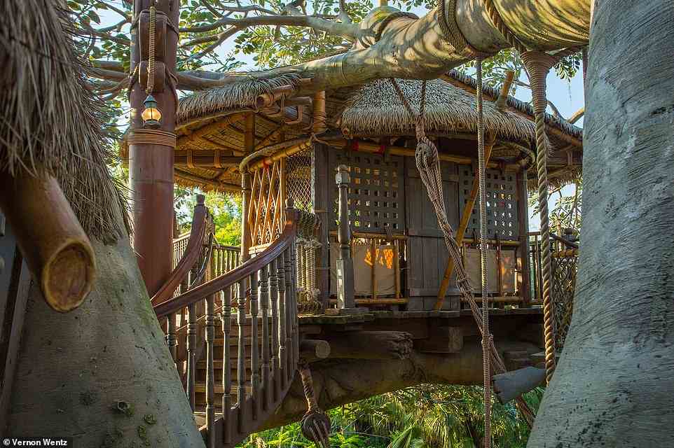 Instead of spending time queueing for the more popular rides, Carol opts to stroll around the treehouse inspired by the Swiss Family Robinson (above)