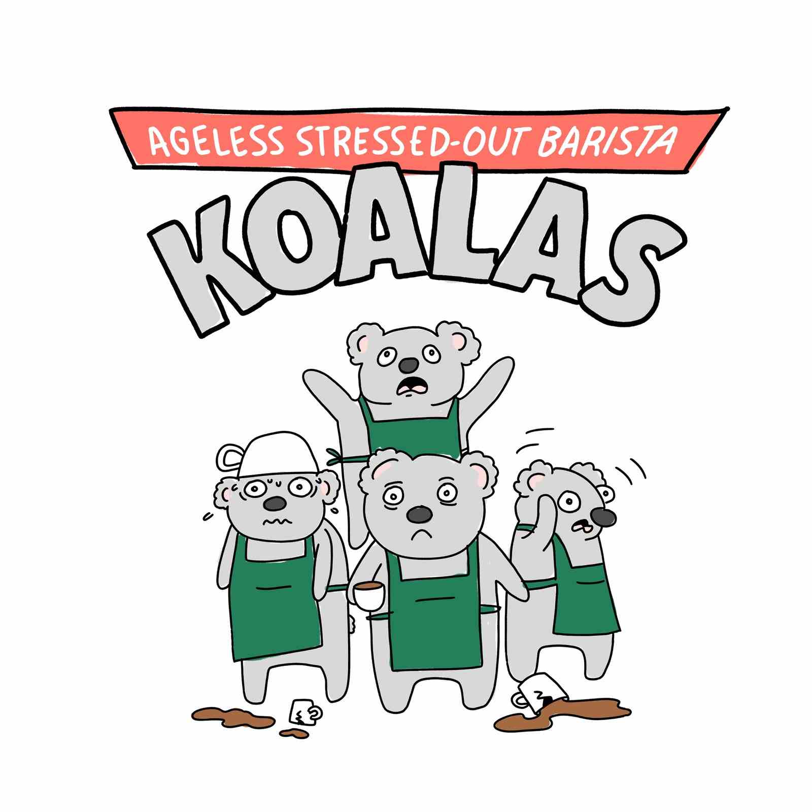 Als Barista verkleidete Koalas.