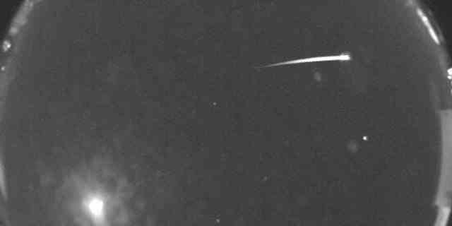 Am 17. November um 1:45 Uhr MT nahm die All-Sky-Kamera der NASA an der New Mexico State University dieses Bild eines Leoniden-Meteors auf, der durch den Himmel streifte.