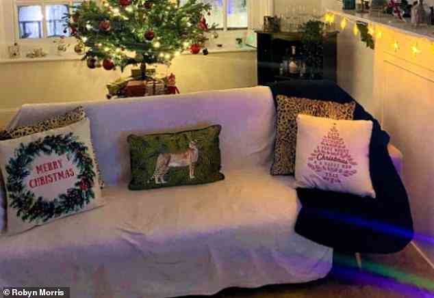 Robyns Kollektion von Weihnachtskissen: Angesichts der Lebenshaltungskostenkrise in diesem Jahr denkt sie, dass es eine großartige Abkürzung zur Freude mit wenig Aufwand ist, früher in Weihnachtsstimmung zu kommen