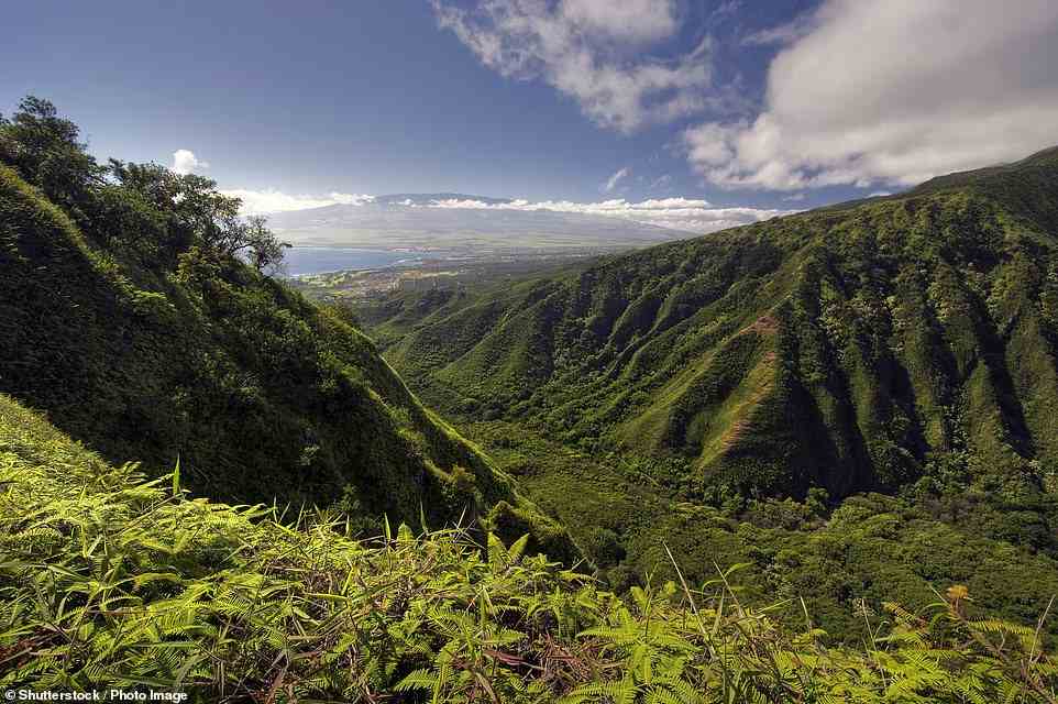 Maui, Hawaii, is suffering from a water crisis, says Fodor's, as tourism accounts for the biggest usage of water on the island, and native Hawaiians are paying the price and having to restrict their own use of water. Above is the island's Waihee Ridge trail