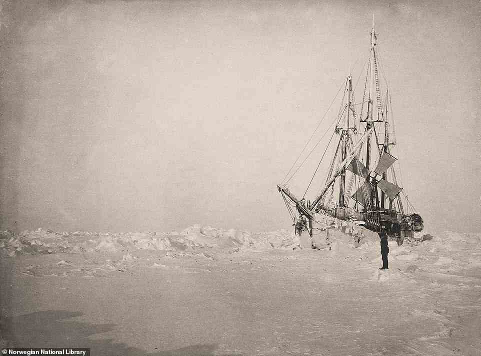 This picture of Fram locked in the pack ice was captured at noon on March 1, 1894, by Nansen. Hjalmar Johansen, who is pictured in the foreground, wrote in his diary on that date: 'This morning, I was photographed by Nansen, with the ship in the background, he will take us all so that you can see that the polar night has not made us look bad'