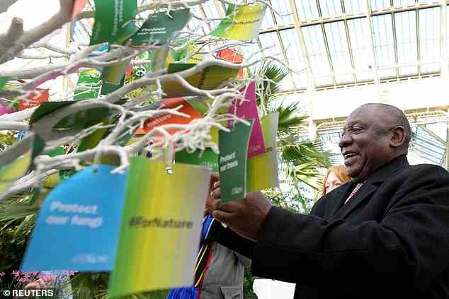 Präsident Ramaphosa band einen „Wunsch“ an den Wunschbaum für die Natur, als er das Temporäre Haus besichtigte