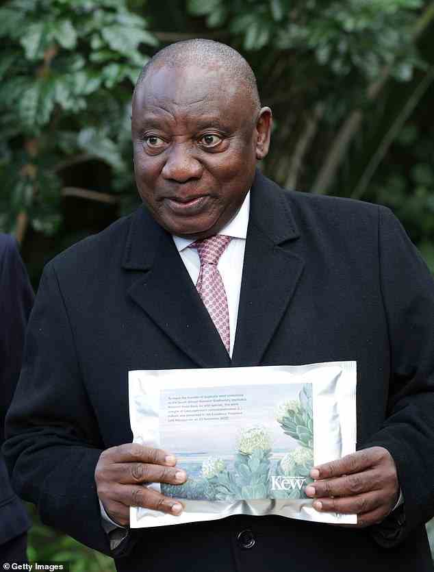 Herrn Ramaphosa wurden während seines Besuchs in Kew Gardens Samen überreicht, als er die Millennium Seed Bank Partnership feierte