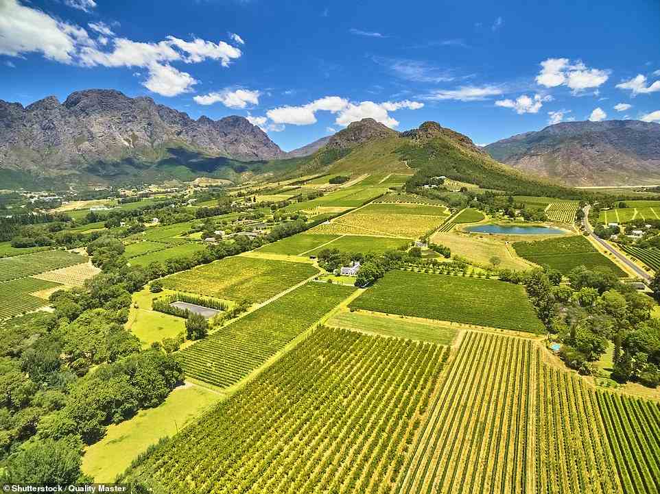 Auf einer Tour durch die Region Stellenbosch-Franschhoek (oben) können Sie problemlos in vier bis fünf Weinfarmen pro Tag verkosten und zwischendurch hervorragende Restaurants und Unterkünfte finden.