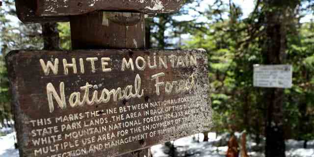 DATEI – Ein Blick auf ein Wegweiser White Mountain National Forest am 02. Mai 2020 in Franconia, New Hampshire.