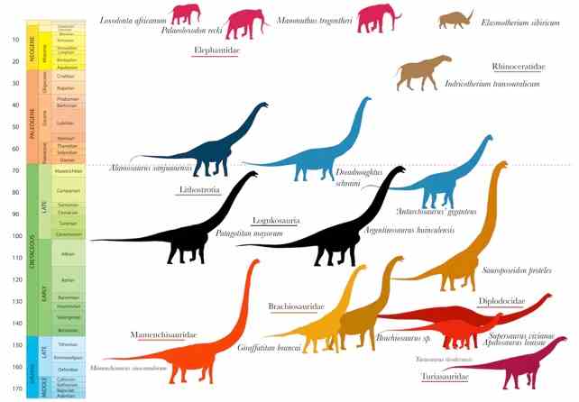 Riesige Dinosaurier und Säugetiere durch Zeitdiagramm