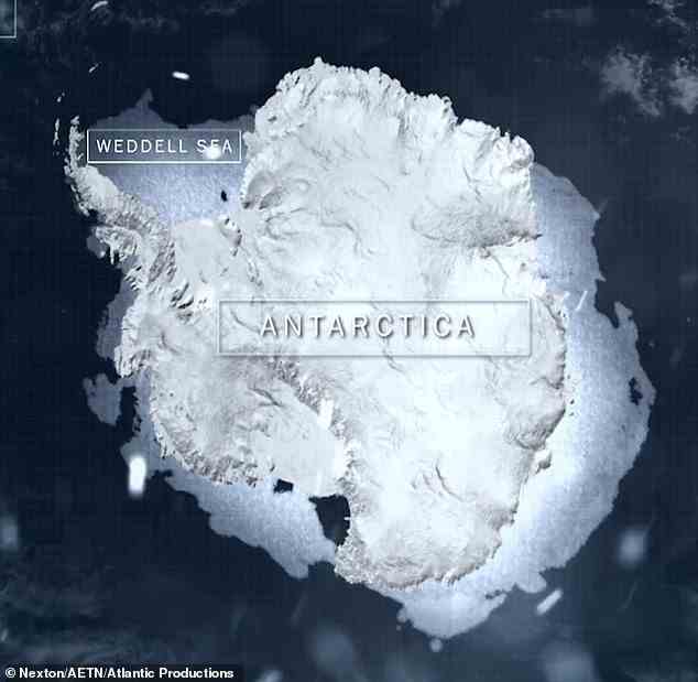 Die Oxford-Wissenschaftler zogen ihre neue Schlussfolgerung über die Prävalenz von Mikroplastik in der Antarktis durch Proben, die bei dem Versuch genommen wurden, das Schiff von Sir Ernest Shackleton, die Endurance, zu lokalisieren