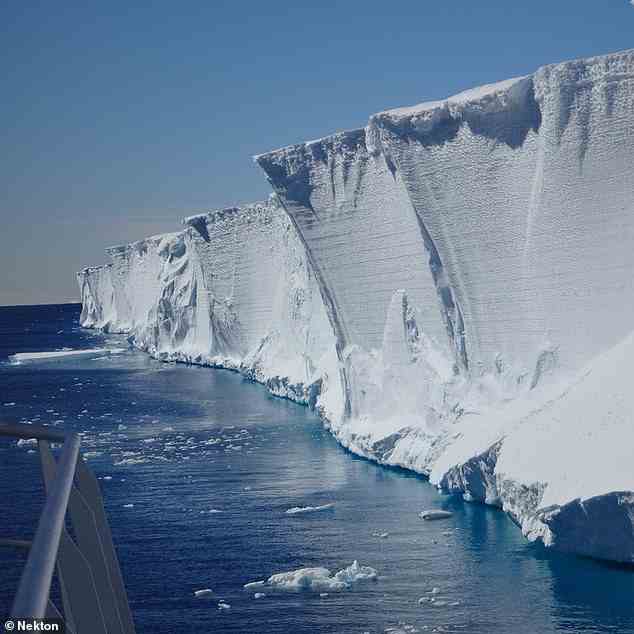 Früher wurde angenommen, dass die Polarfront, die mit der um die Antarktis fließenden Meeresströmung verbunden ist, die Region vor luftgetragenem Mikroplastik schützt.  Im Bild: Schelfeis im Weddellmeer