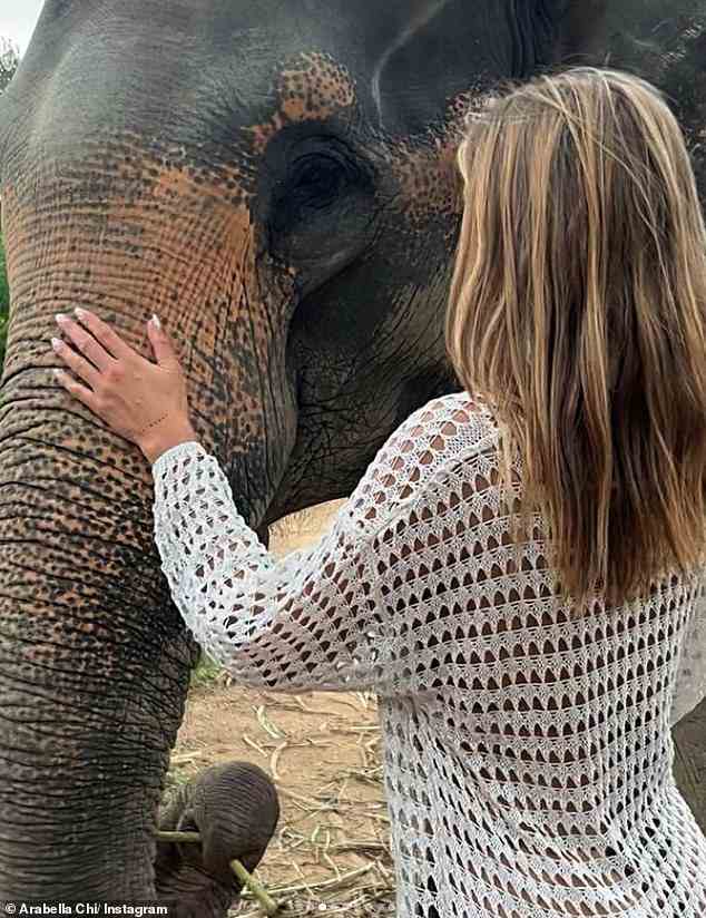 Tierfreundin: Sie rieb sanft mit der Hand über den Rüssel eines Elefanten