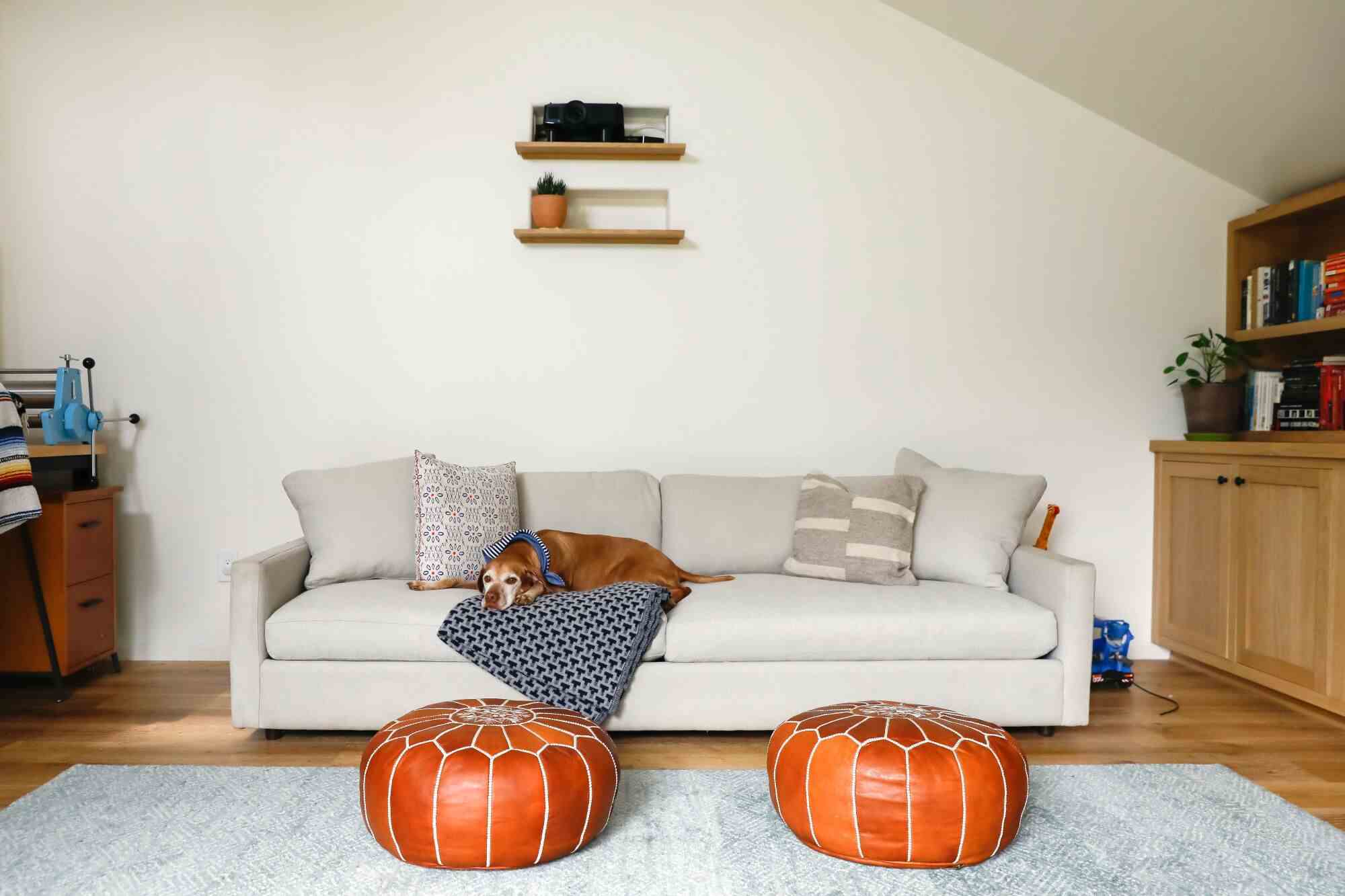 Ein Hund ruht auf einer Decke auf einer grauen Couch mit zwei braunen Lederhockern davor