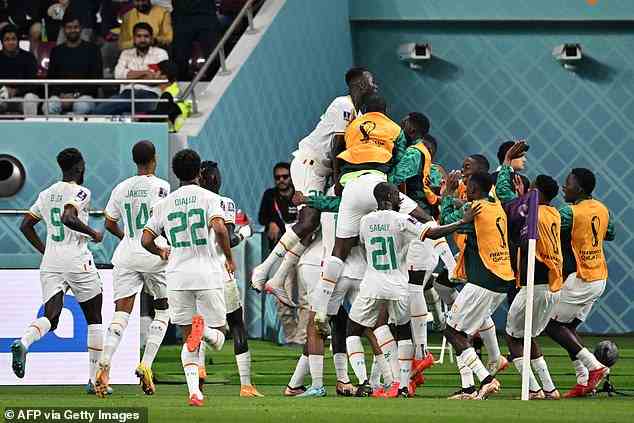 Die senegalesischen Spieler feiern den Sieg über Ecuador und den Einzug ins Achtelfinale