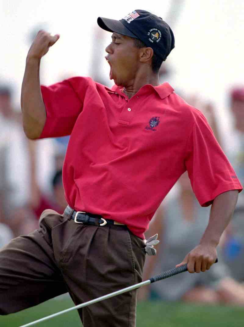 1996 Tiger Woods Ups Downs Through Years