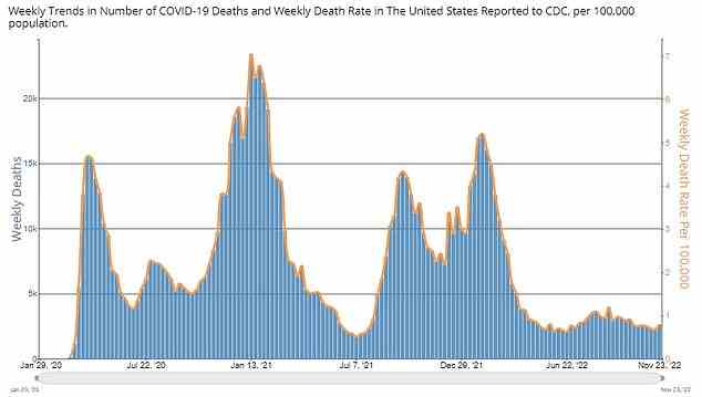 Die obige Grafik zeigt die Anzahl der in den USA gemeldeten Covid-Todesfälle.  Täglich werden jetzt etwa 100 registriert, weit unter dem Höchststand von fast 4.000 zu Beginn der Pandemie