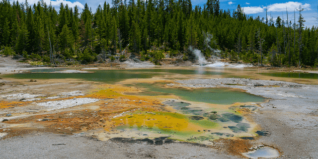 Heiße Quelle im Yellowstone-Nationalpark in Wyoming. 
