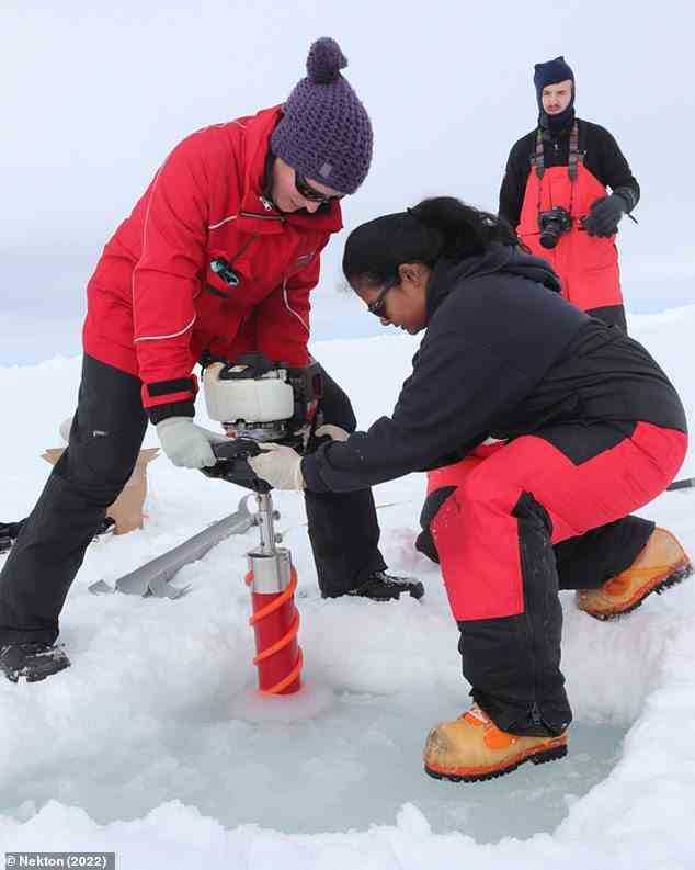 Forscher der Universität Oxford fanden Mikroplastik in der Luft, im Meerwasser und im Meereis im Weddellmeer nahe dem Südpol.  Im Bild: Wissenschaftler nehmen Eiskernproben