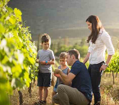 Die Region Stellenbosch/Franschhoek in Südafrika ist ideal für den Weinbau.  Oben besichtigt eine Familie das Leeu Estate der Gegend