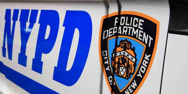 Die NYPD vermutet, dass beide Kinder von jemandem weggeworfen wurden, der über einen Zaun kletterte und auf die Rückseite des Grundstücks gelangte, berichtet Fox5 NY.