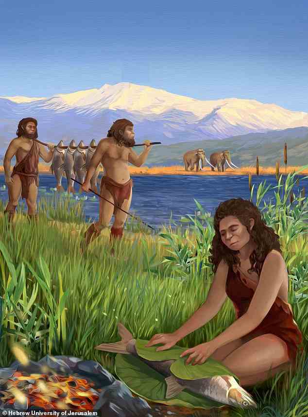 Prähistorische Menschen haben vor mindestens 780.000 Jahren zum ersten Mal mit Feuer gekocht, wie eine neue Entdeckung enthüllt (künstlerische Darstellung)