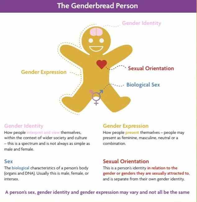 The poster, entitled the LGBTQ+ Education Board, features the disputed 'genderbread person' and is already in use at one hospital in Wales. But it could be rolled out to more in the future