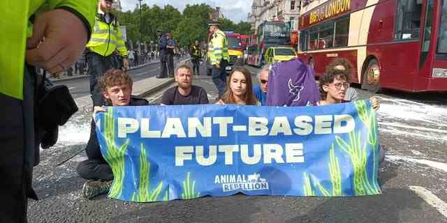 Aktivisten der Tierrebellion sitzen mit einem Banner auf einer weiß gestrichenen Straße, während sie am 7. September 2022 vor den Houses of Parliament in London, Großbritannien, gegen konventionelle Landwirtschaft und Fischerei protestieren. 