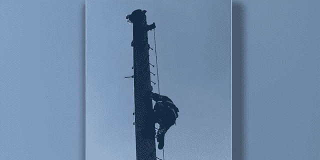 Ein Feuerwehrmann klettert auf einen Funkturm, um den Adler zu retten.