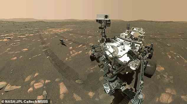 Der Perseverance-Rover der NASA (im Bild) wählt eine Probe mit seinen Instrumenten an Bord aus, um festzustellen, ob in einem Gestein organische Moleküle vorhanden sind, bevor er entkernt.  Nach der Entnahme werden die Kernproben zur Erde zurückgebracht, wo Wissenschaftler sie in Labors analysieren können