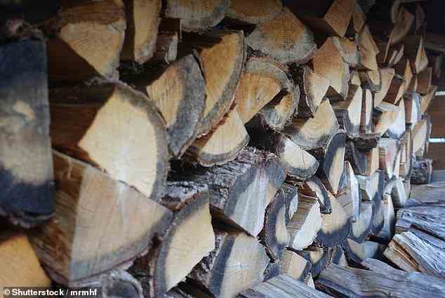 Holzkosten: Ein Kubikmeter Holz entspricht etwa 300 Scheiten und bringt Ihnen 120 bis 200 Pfund ein