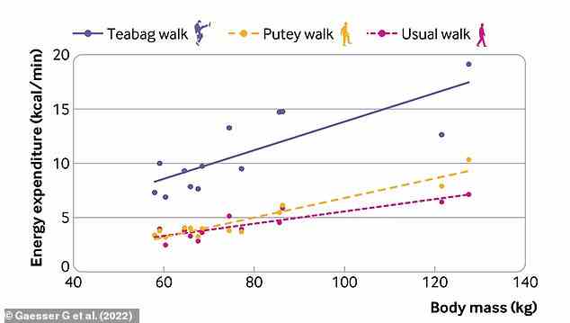 Zusammenhang zwischen Energieverbrauch (kcal/min) und Körpermasse (kg) für das übliche Gehen der Teilnehmer, den Putey-Walk und den Teabag-Walk