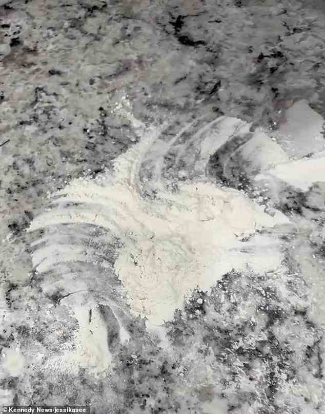 Die Mutter hatte Rudy auf einer Küchenarbeitsplatte voller Mehl ausgelegt, so dass es aussah, als würde der Elf Schneeengel machen, aber als sie nach Hause kam, fehlte das Spielzeug