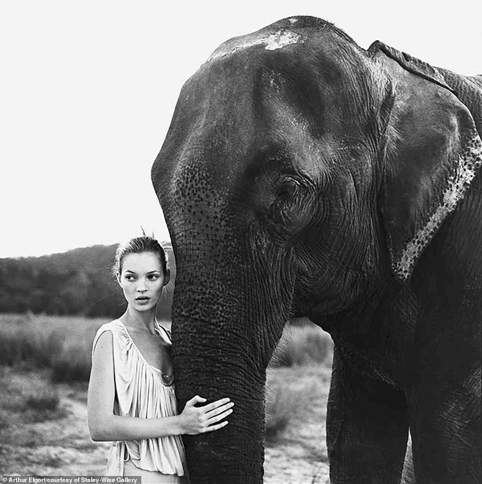 Elgort traveled all of the world for his shoots, including to Nepal, where he photographed Kate Moss with an elephant for British Vogue in 1993