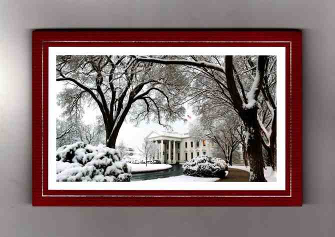 Obama-Weihnachtskarte 2010