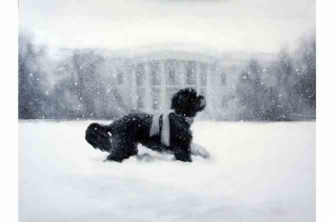 Obama-Weihnachtskarte 2012