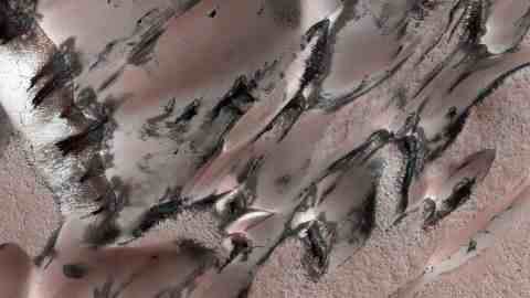 Auftauender Frost schuf im Frühling im Juli 2021 einzigartige Muster auf den Marsdünen.