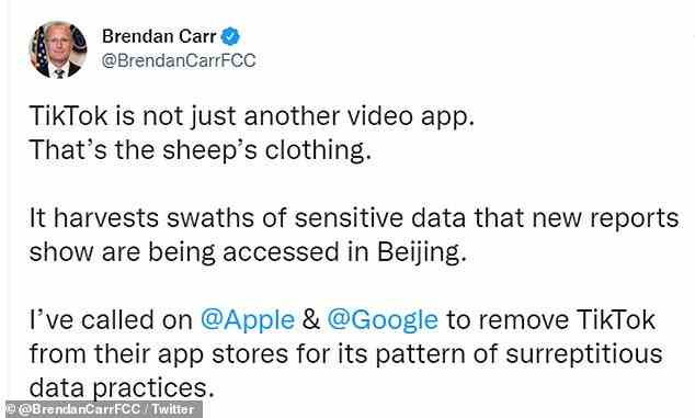 Brendan Carr, der Kommissar der FCC, forderte Apple und Google im Juni auf, TikTok aus ihren App-Stores zu entfernen