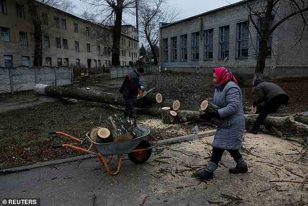 Pictured: Pilaheia Mykhailivna, 73 puts wood she and her neighbours chopped up from cutting down municipal city trees, into a wheelbarrow, to burn for heat, as Russia's attack on Ukraine continues, during intense shelling in Bakhmut on December 26, 2022