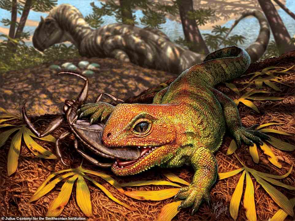 This is an artistic impression of a 200 million-year-old lizard, whose fossil was uncovered in the badlands of Wyoming earlier this year. It belongs to the same ancient lineage as New Zealand’s living tuatara