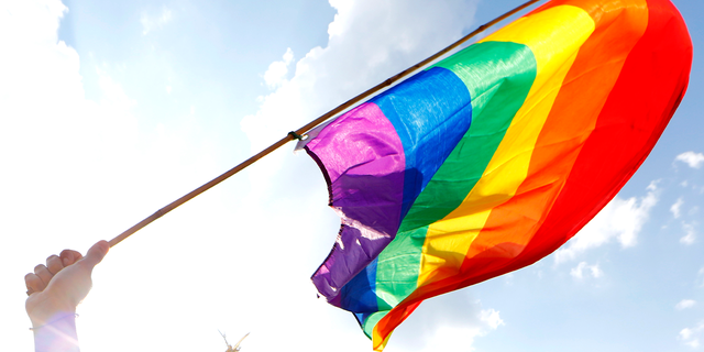 Eine Person hält während einer Gay-Pride-Parade eine Regenbogenfahne hoch.