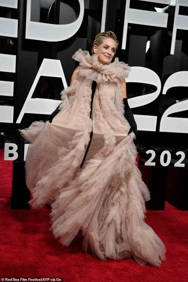 Blickfang: Sharon Stone hob sich am Donnerstag von der Masse ab, als sie die Stars bei der Opening Night Gala-Vorführung von What's Love Got To Do With It anführte.  beim Red Sea International Film Festival in Jeddah, Saudi-Arabien